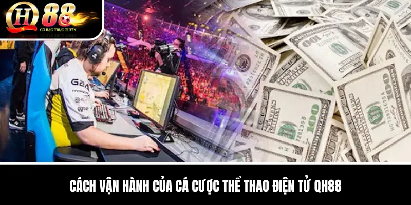 Cá Cược Thể Thao Điện Tử QH88 | Các Loại Kèo Esports Cho Người Mới 2 Cách vận hành của Cá Cược Thể Thao Điện Tử QH88