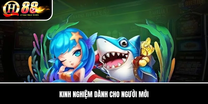 Bắn Cá Hoàng Kim QH88 | Cách Săn Mục Tiêu Và Tối Ưu Đạn Hiệu Quả 3 Kinh nghiệm dành cho người mới