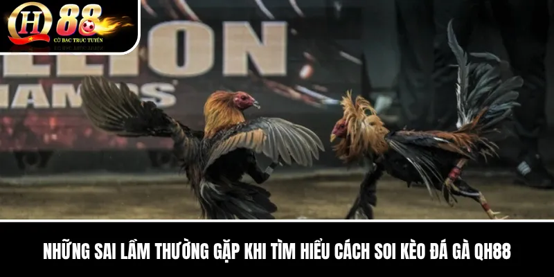Cách Soi Kèo Đá Gà QH88 | Đọc Chiến Kê, Tỷ Lệ Và Dữ Liệu Cặp Đấu 3 Những sai lầm thường gặp khi tìm hiểu Cách Soi Kèo Đá Gà QH88