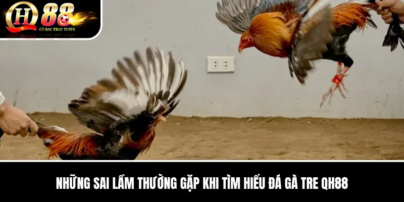 Đá Gà Tre QH88 | Đặc Điểm Chiến Kê Và Kinh Nghiệm Đọc Trận Đấu 3 Những sai lầm thường gặp khi tìm hiểu Đá Gà Tre QH88