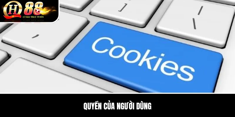 Quyền Của Người Dùng