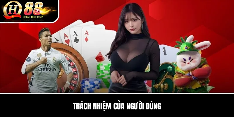 Trách Nhiệm Của Người Dùng